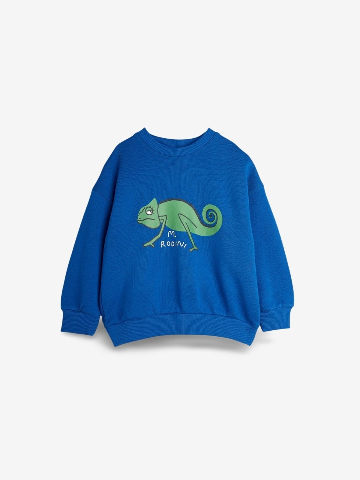 MINI RODINI